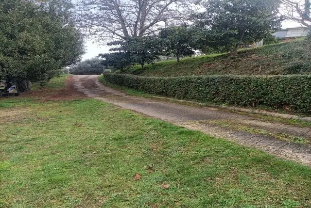 Immagine per Uliveto in vendita a San Benedetto del Tronto via Contrada Monte Aquilino