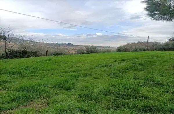 Uliveto via Contrada Monte Aquilino, San Benedetto Del Tronto