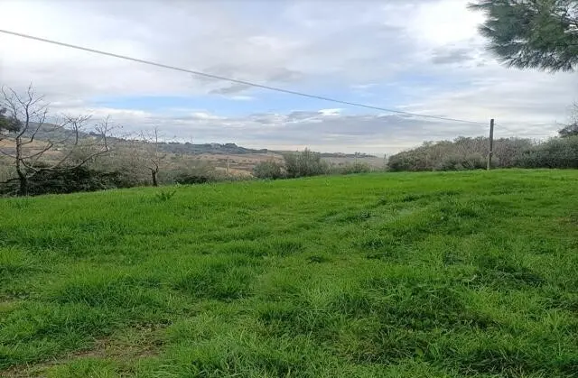 Immagine per Uliveto in vendita a San Benedetto del Tronto via Contrada Monte Aquilino