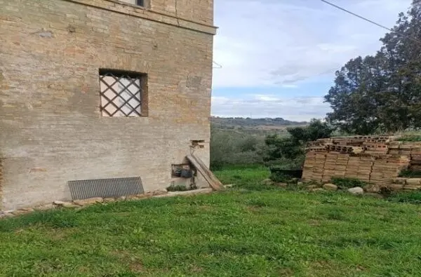 Immagine per Uliveto in vendita a San Benedetto del Tronto via Contrada Monte Aquilino