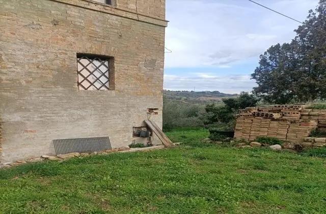 Immagine per Uliveto in vendita a San Benedetto del Tronto via Contrada Monte Aquilino
