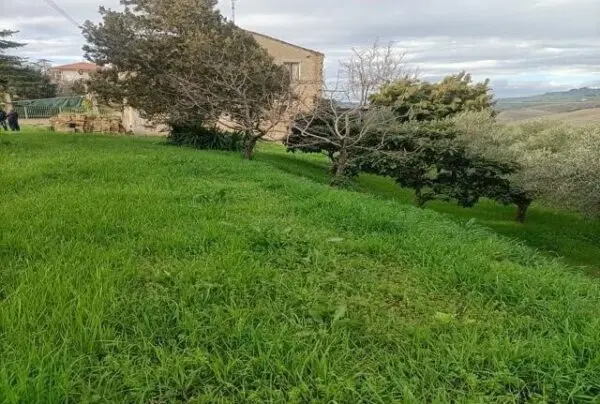 Uliveto via Contrada Monte Aquilino, San Benedetto Del Tronto
