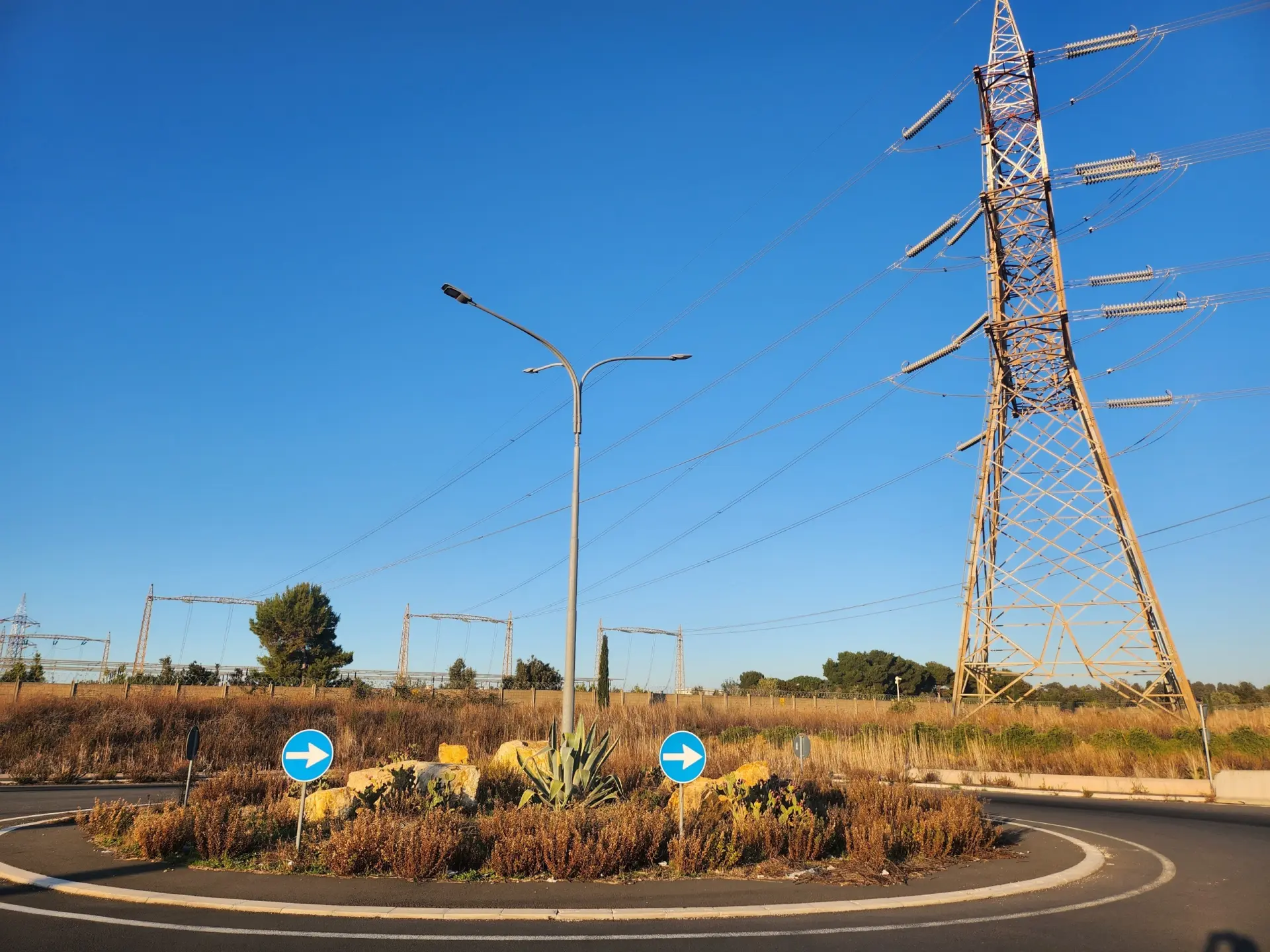 Immagine per Industriale in vendita a Tarquinia strada Vicinale Di Scorticagatti 8