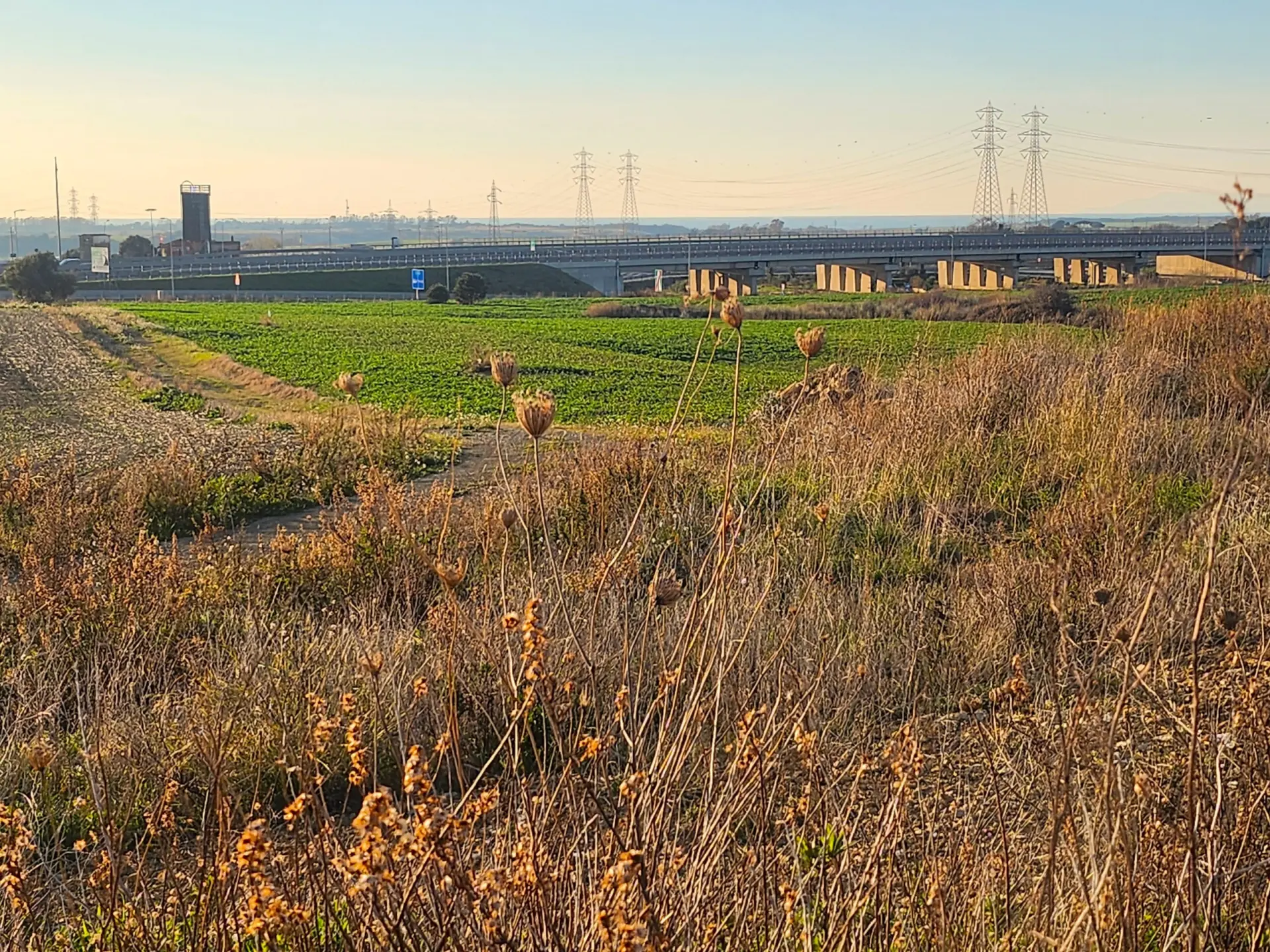 Immagine per Industriale in vendita a Tarquinia strada Vicinale Di Scorticagatti 8