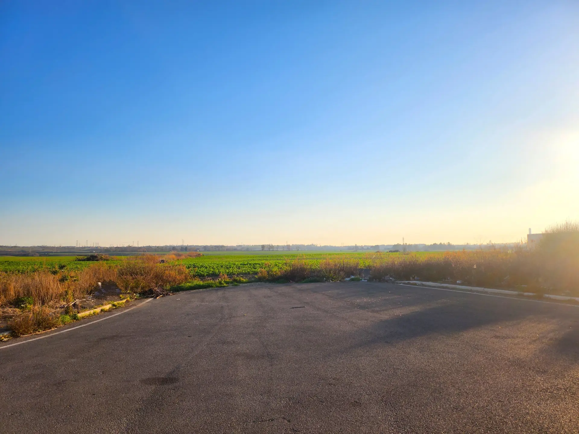 Immagine per Industriale in vendita a Tarquinia strada Vicinale Di Scorticagatti 8