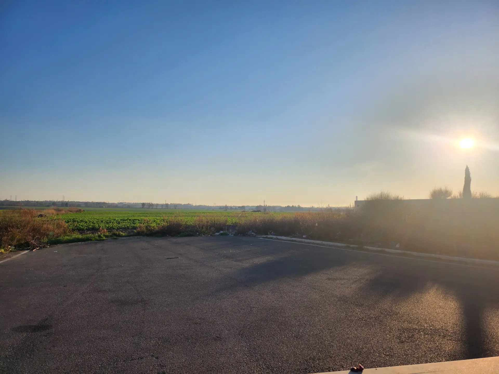 Immagine per Industriale in vendita a Tarquinia strada Vicinale Di Scorticagatti 8