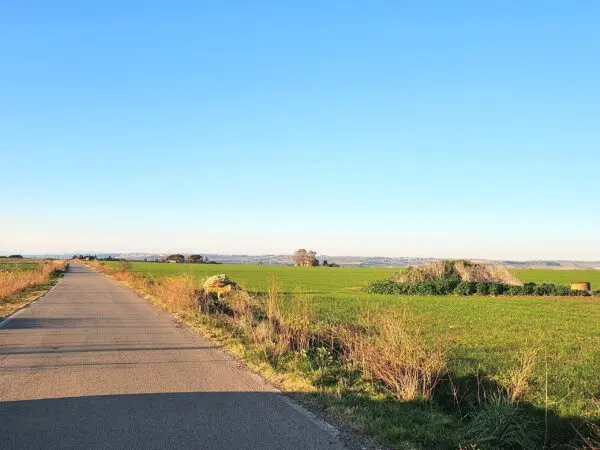 Industriale strada Vicinale Di Scorticagatti 8, Tarquinia