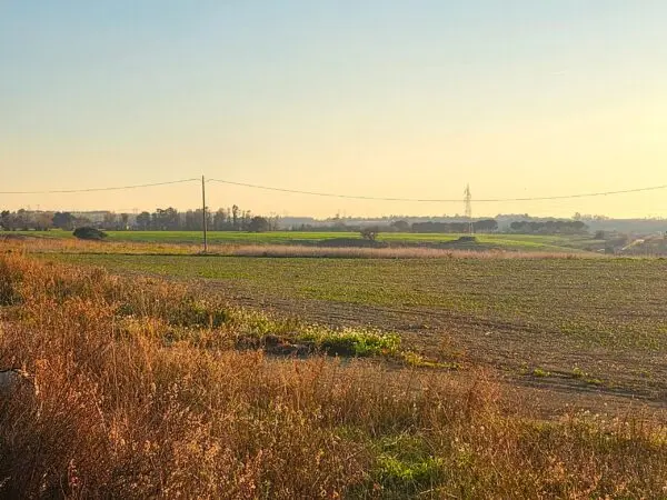 Industriale strada Vicinale Di Scorticagatti 8, Tarquinia