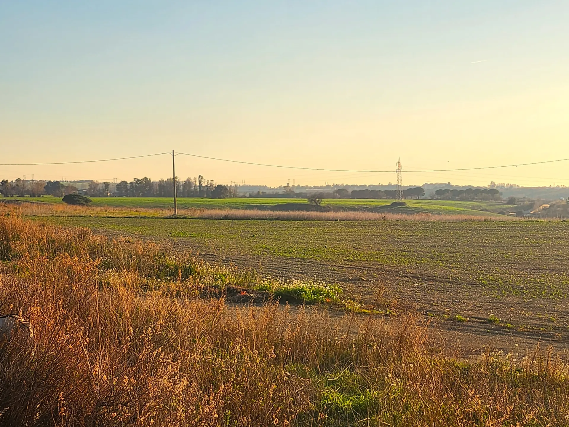 Immagine per Industriale in vendita a Tarquinia strada Vicinale Di Scorticagatti 8