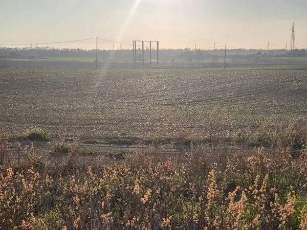 Industriale strada Vicinale Di Scorticagatti 8, Tarquinia