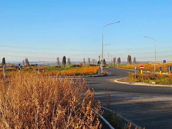 Industriale strada Vicinale Di Scorticagatti 8, Tarquinia