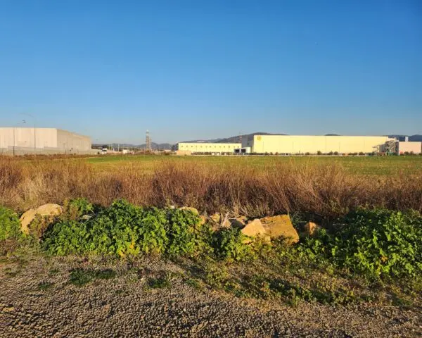 Industriale strada Vicinale Di Scorticagatti 8, Tarquinia