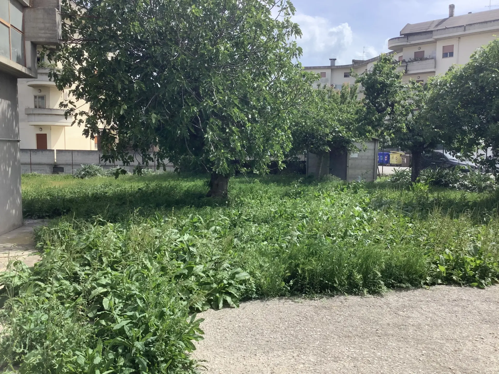 Immagine per Palazzo - Stabile in vendita a Monsampolo del Tronto via Salaria 200