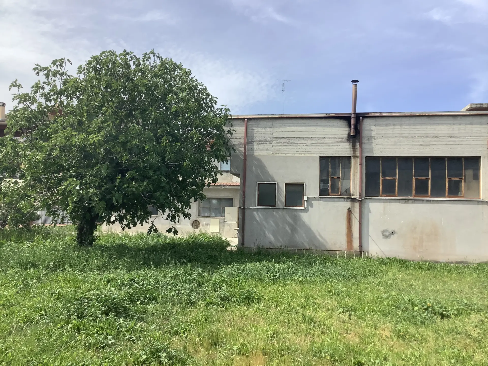 Immagine per Industriale in vendita a Monsampolo del Tronto via Salaria 200