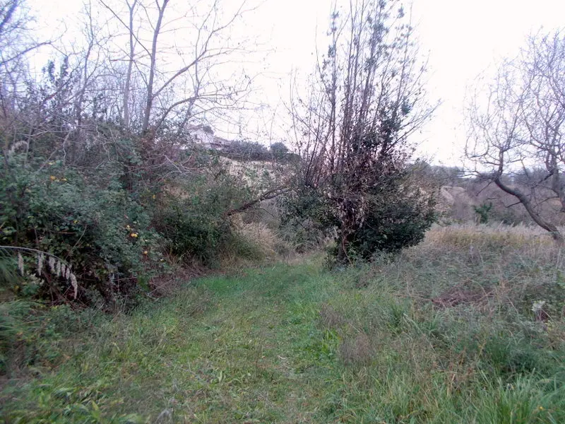 Immagine per Casale in vendita a San Benedetto del Tronto via Contrada Monterenzo