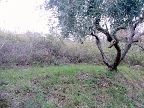 Casale via Contrada Monterenzo, San Benedetto Del Tronto