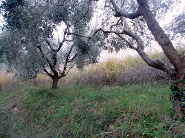 Casale via Contrada Monterenzo, San Benedetto Del Tronto