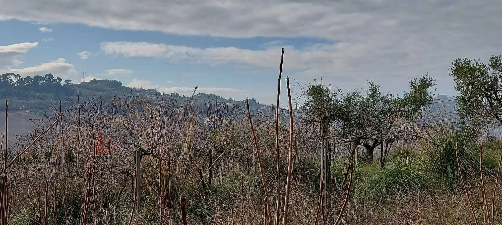 Immagine per Casale in vendita a San Benedetto del Tronto via Contrada Monterenzo
