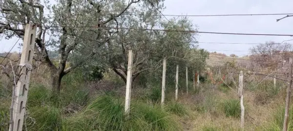 Casale via Contrada Monterenzo, San Benedetto Del Tronto