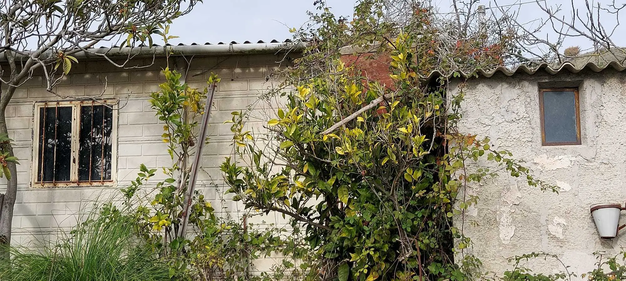 Immagine per Casale in vendita a San Benedetto del Tronto via Contrada Monterenzo