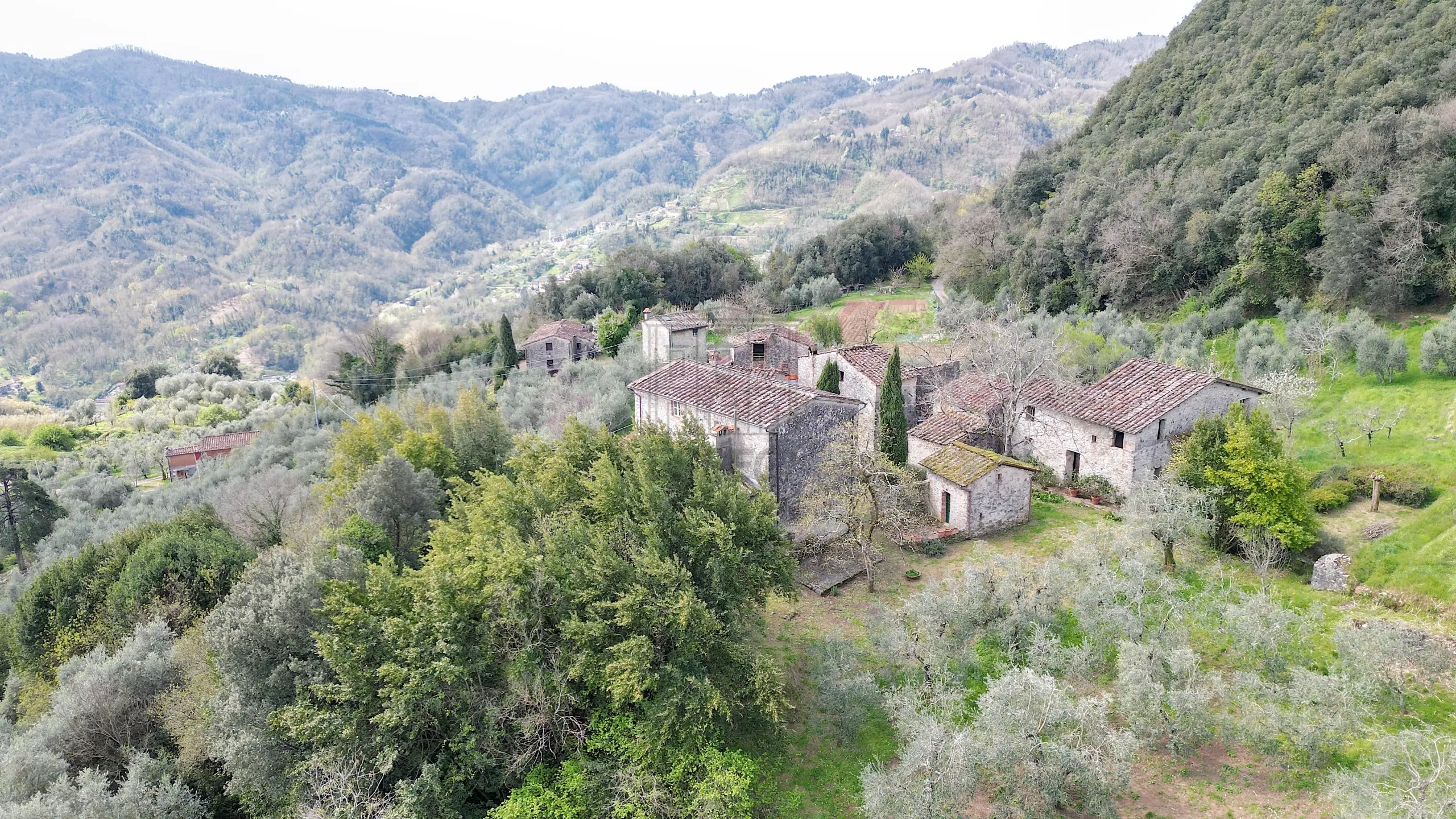Immagine per Casale in vendita a Lucca 11/A