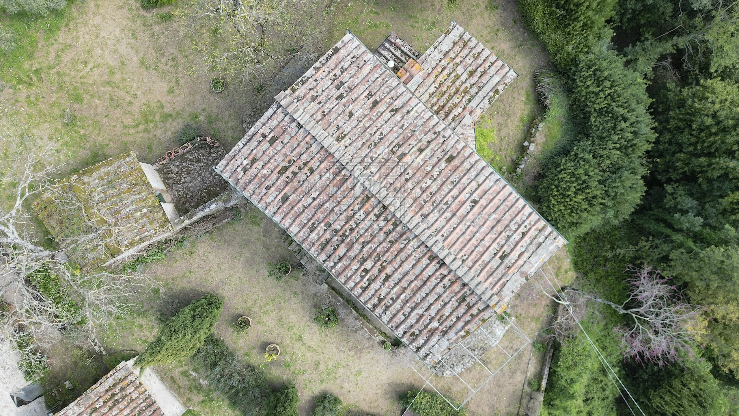 Immagine per Casale in vendita a Lucca 11/A