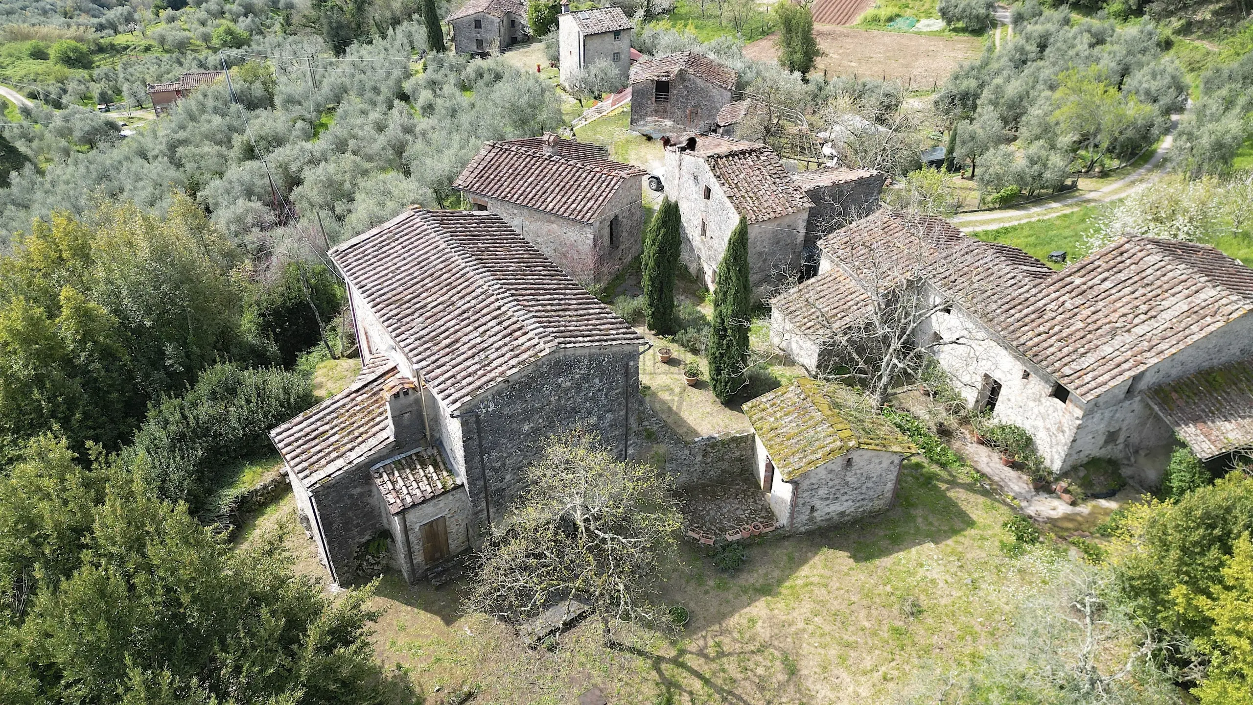 Immagine per Casale in vendita a Lucca 11/A