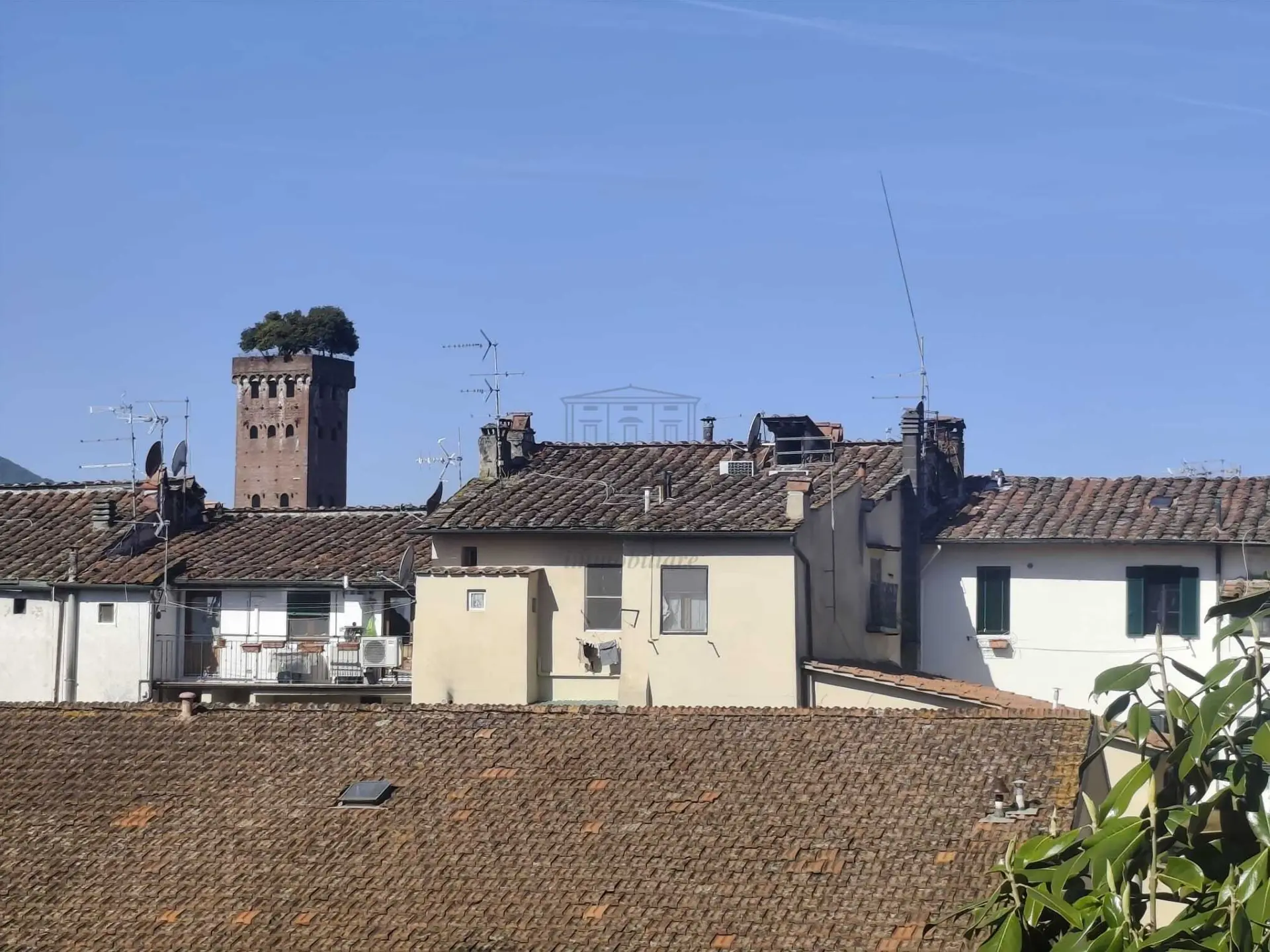 Immagine per Monolocale in affitto a Lucca piazza San Ponziano 6