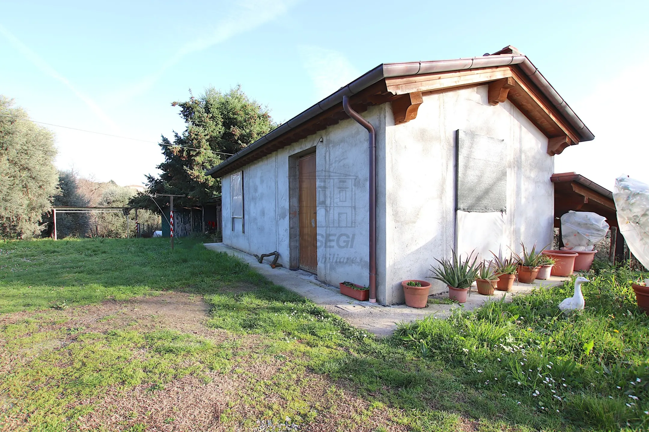 Immagine per Casale in vendita a Lucca traversa V Via Della Pieve Santo Stefano