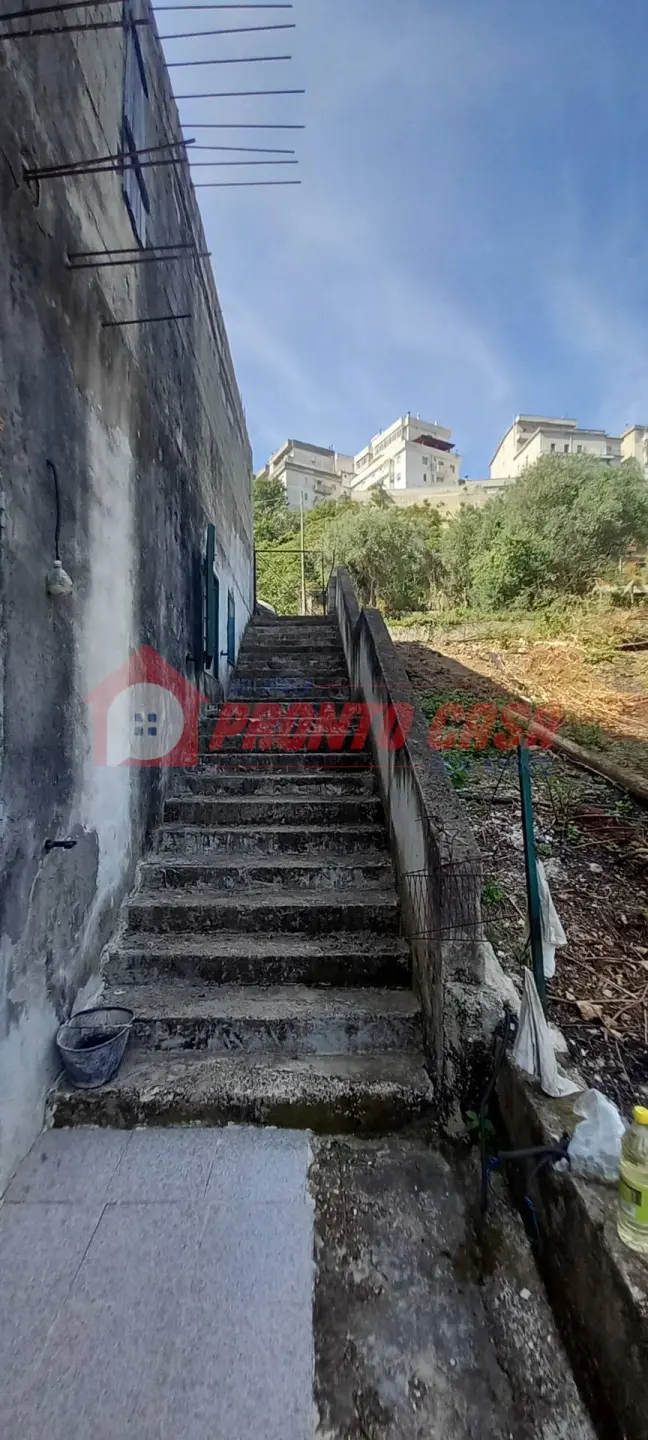 Immagine per Appartamento in vendita a Serracapriola Via Matteotti snc