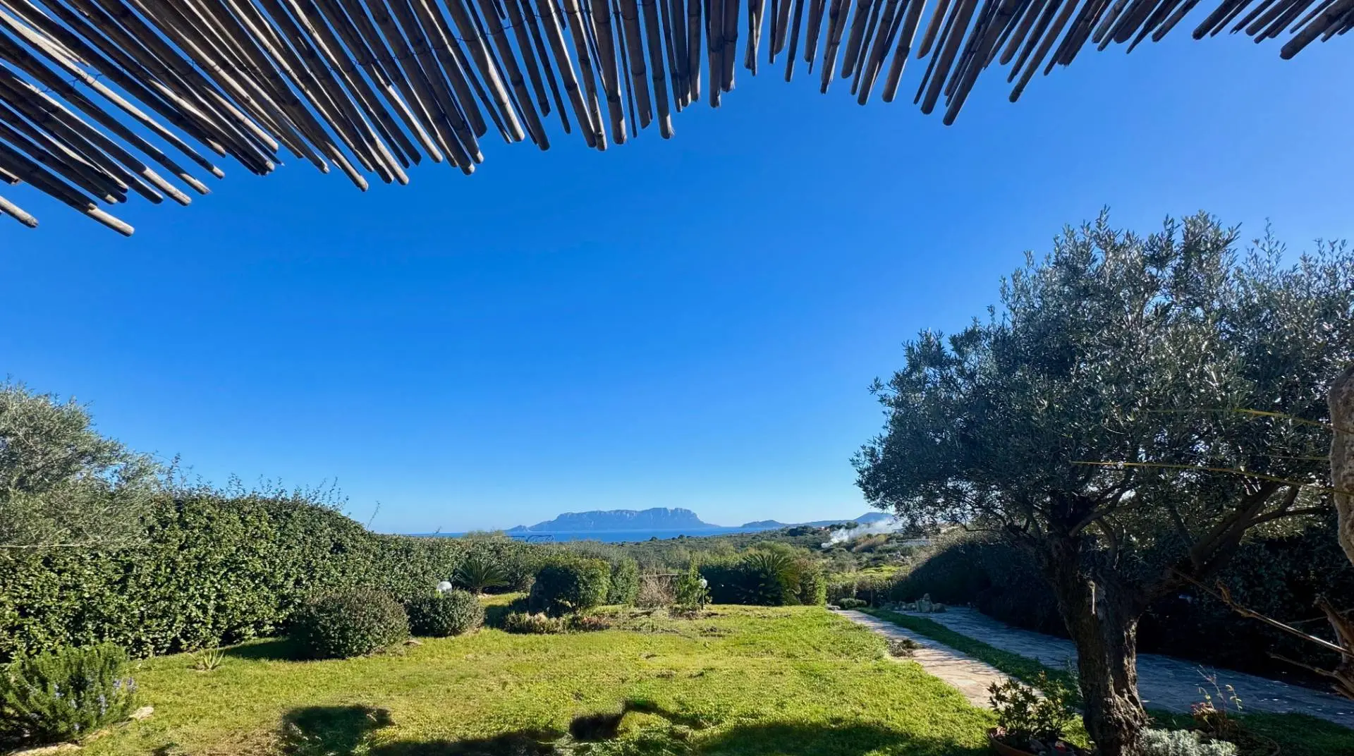 Immagine per Villa in vendita a Olbia Ville del Golfo Aranci Sos Aranzos 