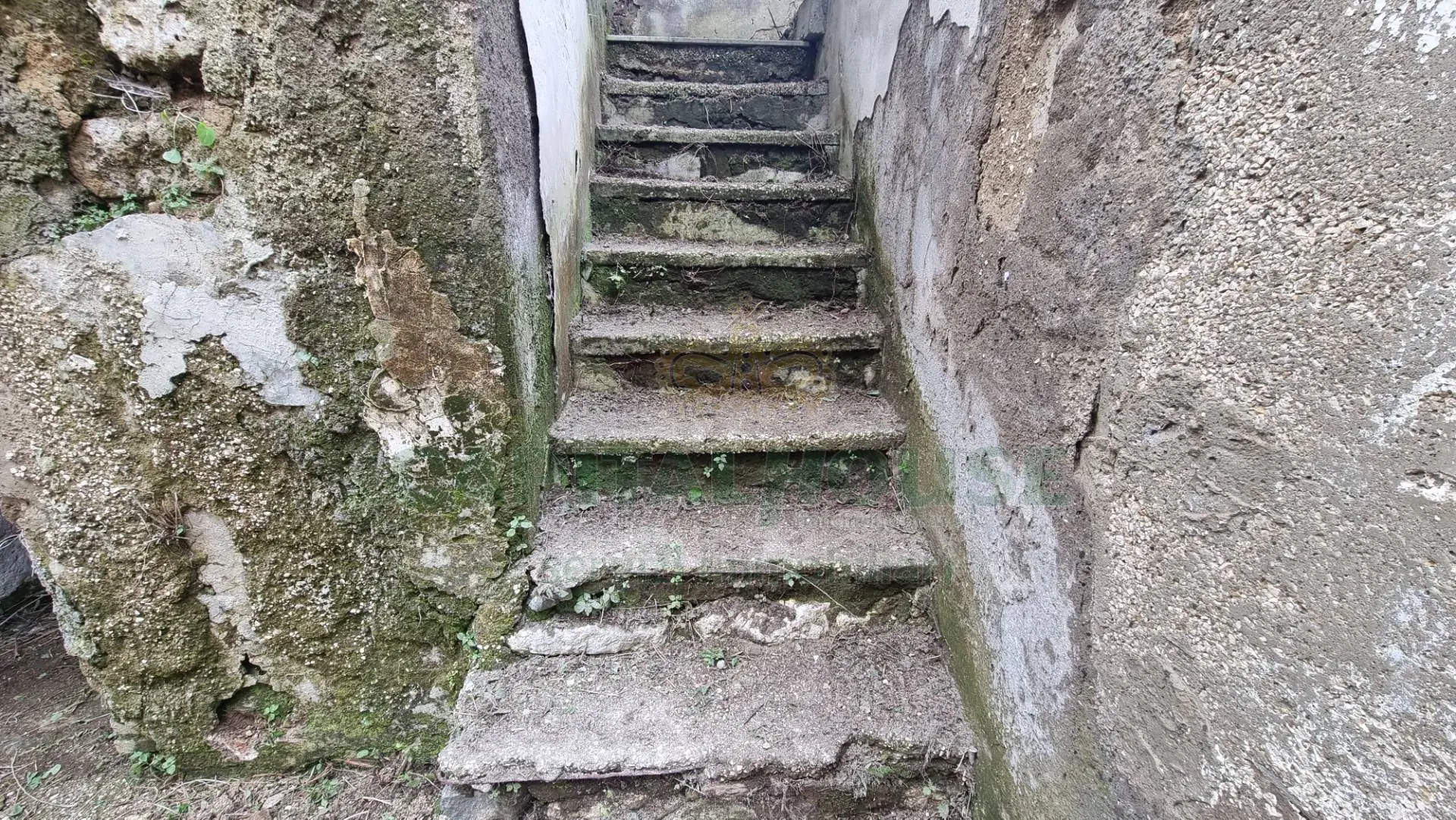 Immagine per Appartamento in vendita a Casagiove  