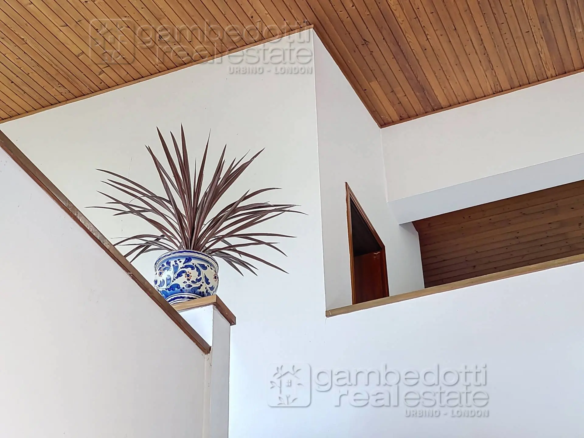 Immagine per Villa in vendita a Urbino  