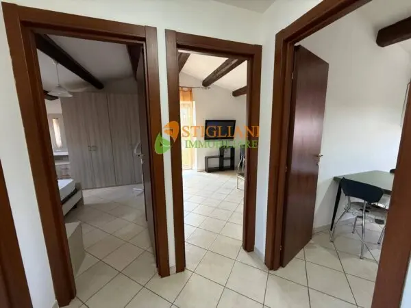 Immagine per Appartamento in affitto a Campobasso via Delle Frasche 