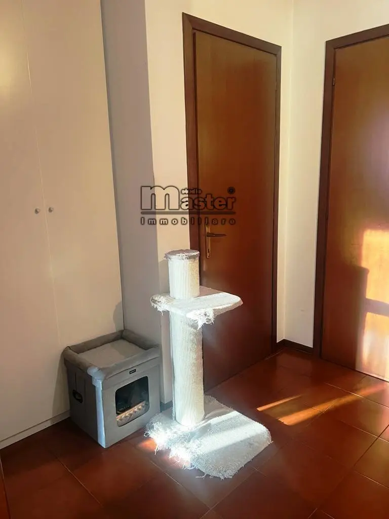 Immagine per Appartamento in affitto a Treviso S.BONA - TREVISO 