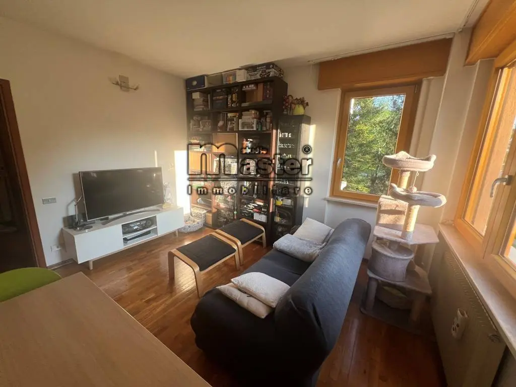 Immagine per Appartamento in affitto a Treviso S.BONA - TREVISO 