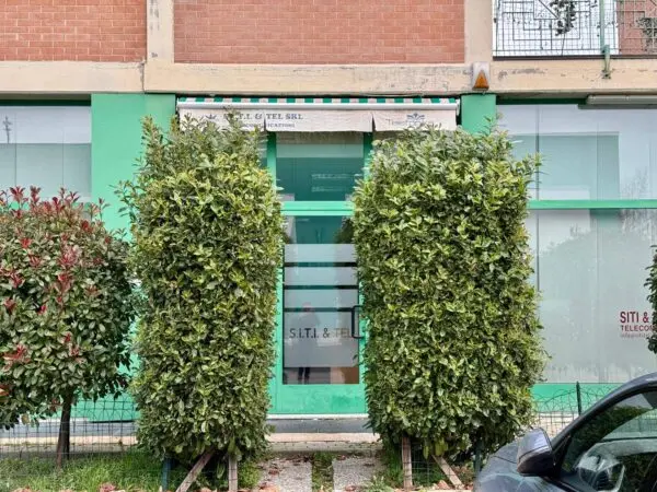 Locale Commerciale via, Alessandria