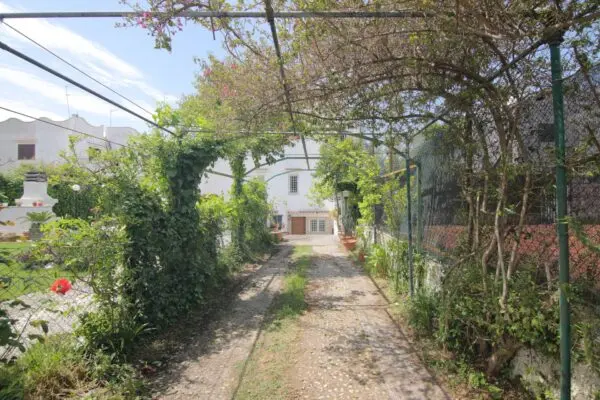Villa via Dei Lecci 99, Anzio