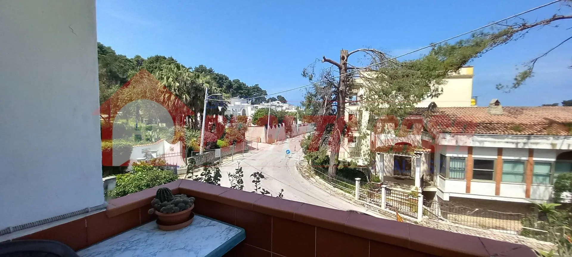 Immagine per Appartamento in vendita a Rodi Garganico Via Delle Mimose 2