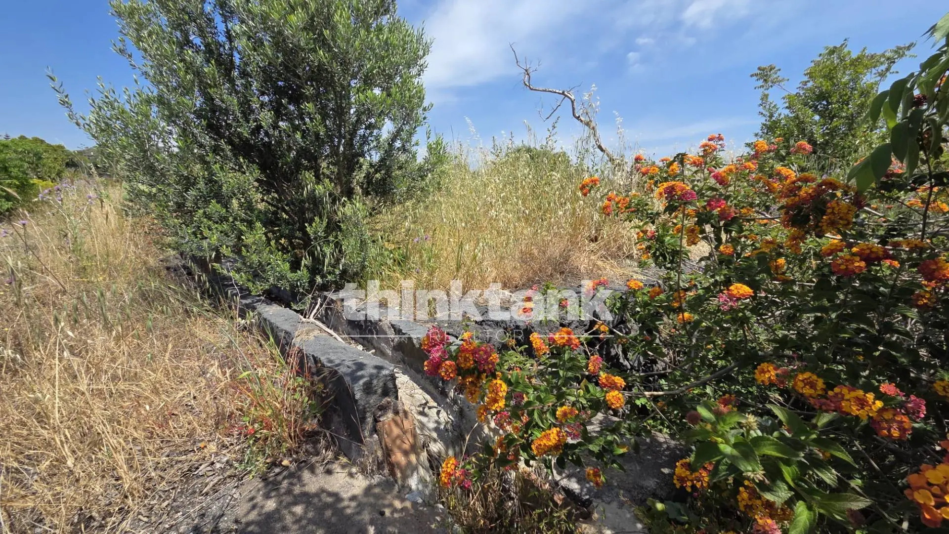 Immagine per Terreno Agricolo in vendita a Aci Castello Via Biscari 