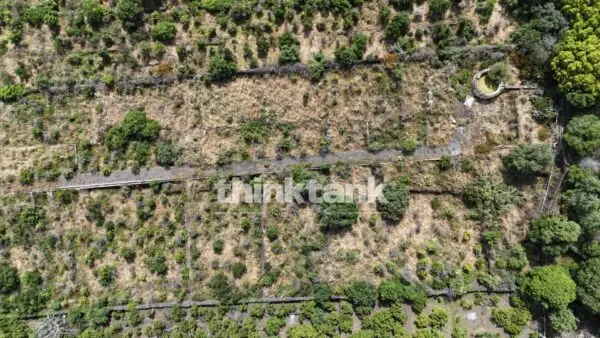 Terreno Agricolo via Biscari, Aci Castello