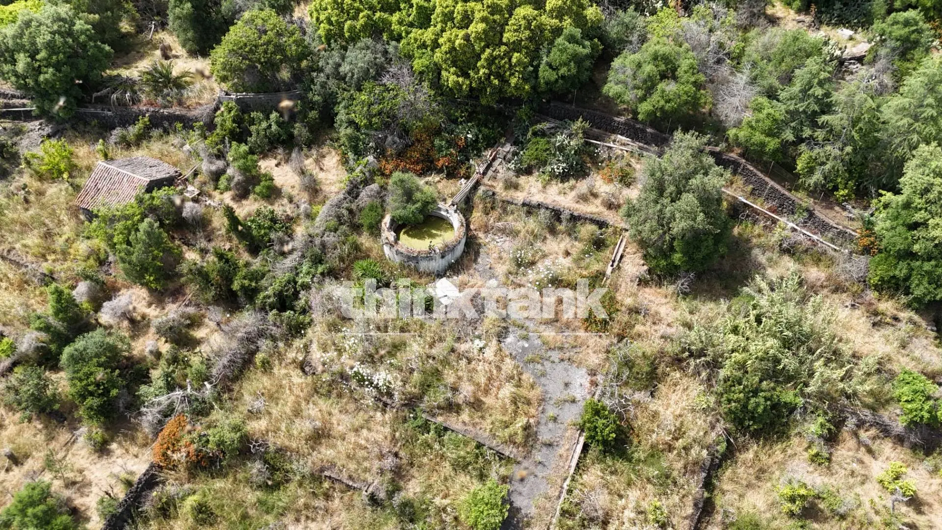 Immagine per Terreno Agricolo in vendita a Aci Castello Via Biscari 