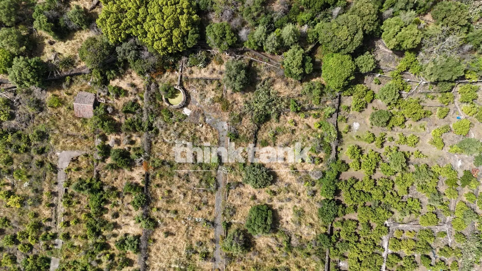 Immagine per Terreno Agricolo in vendita a Aci Castello Via Biscari 