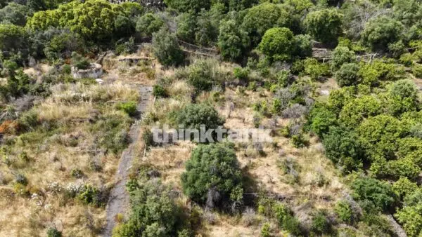 Terreno Agricolo via Biscari, Aci Castello