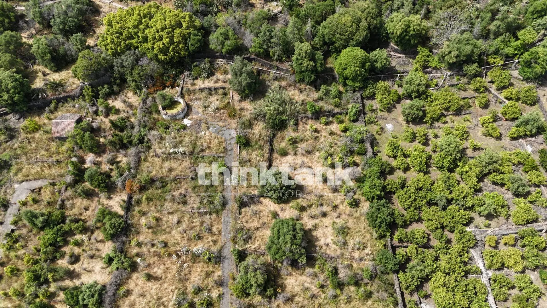Immagine per Terreno Agricolo in vendita a Aci Castello Via Biscari 
