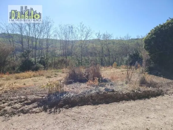 Immagine per Casa indipendente in vendita a Petritoli CONTRADA SOLOGNA 