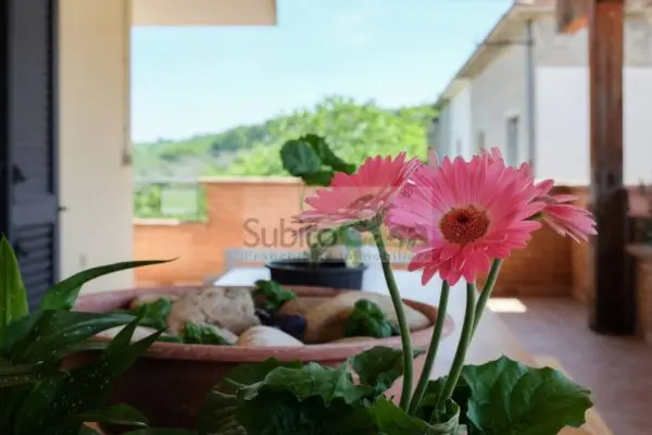 Appartamento via Corsi 12, Villamagna