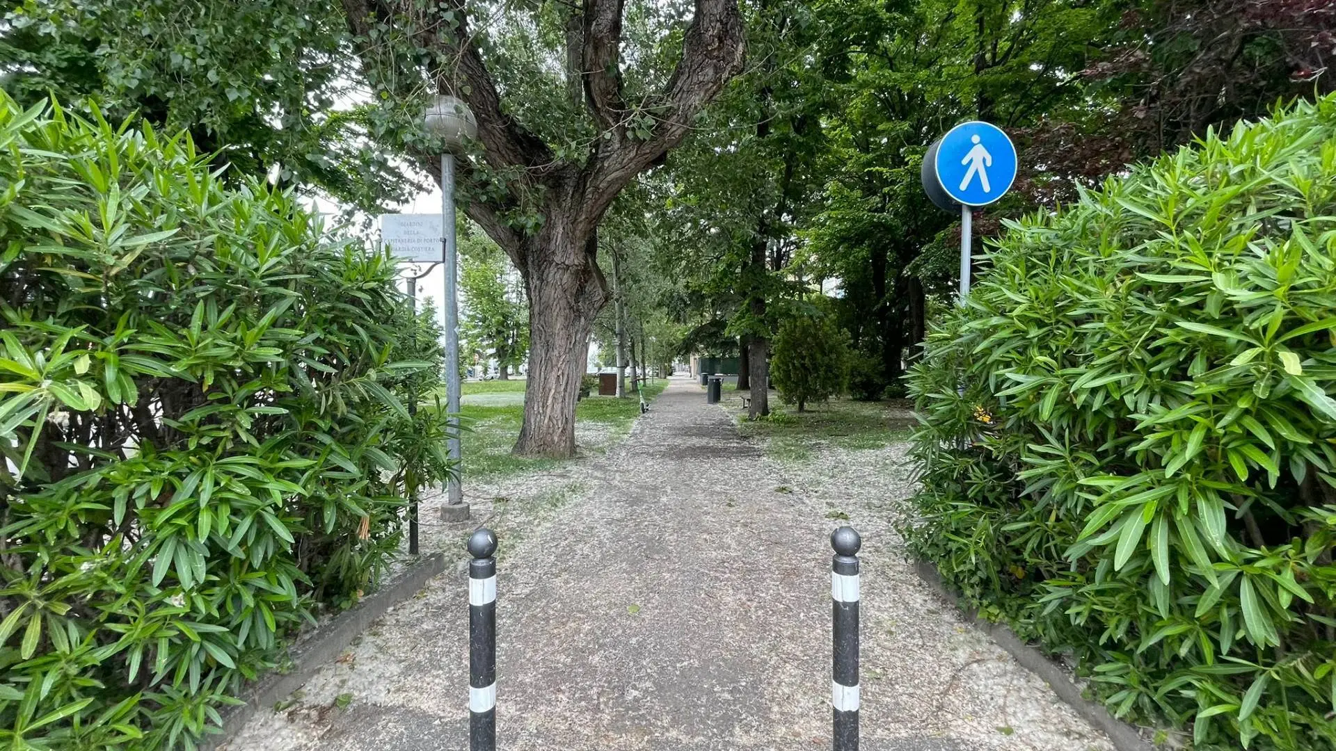 Immagine per Appartamento in vendita a Rimini Via Destra Del Porto 