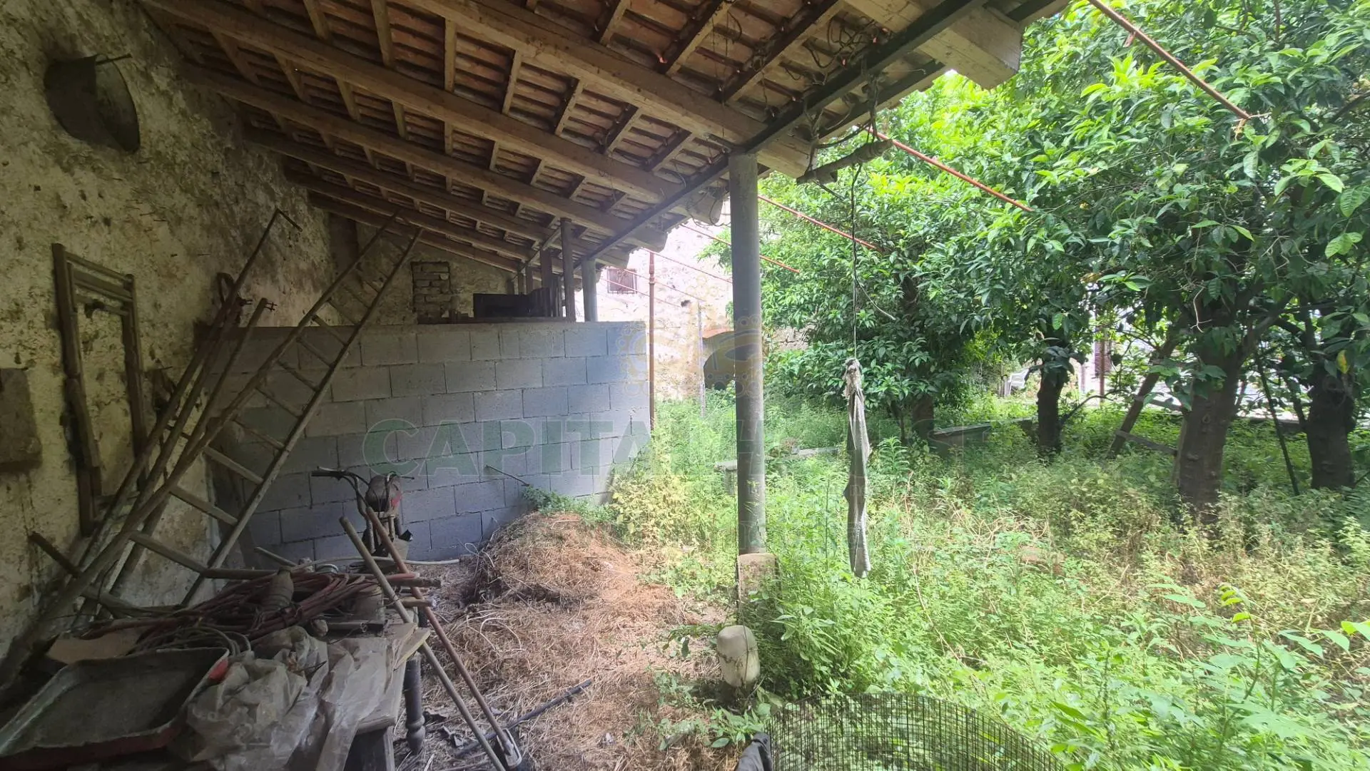 Immagine per Casa indipendente in vendita a San Tammaro