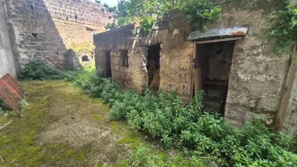 Casa Indipendente via, San Tammaro